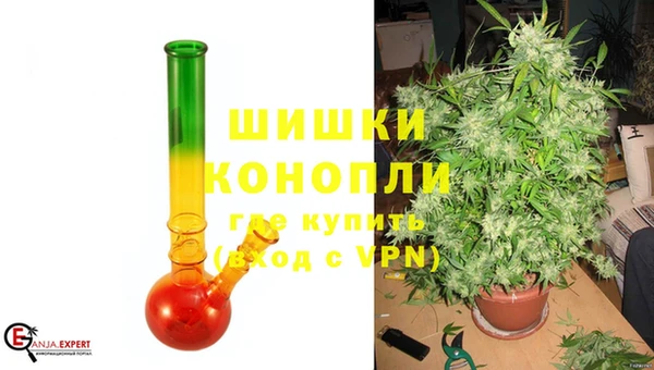 прущие грибы Богородицк