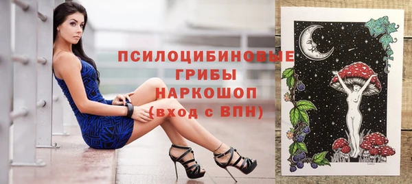 прущие грибы Богородицк