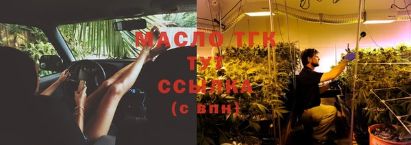 spice Богданович